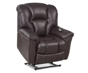 1161 brown liftchair